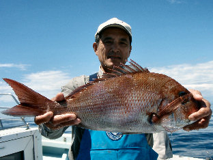 kl}_C 2.8kg